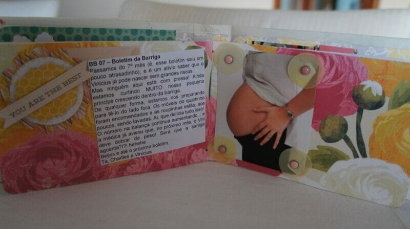 diário de gravidez com as fases da gravidez