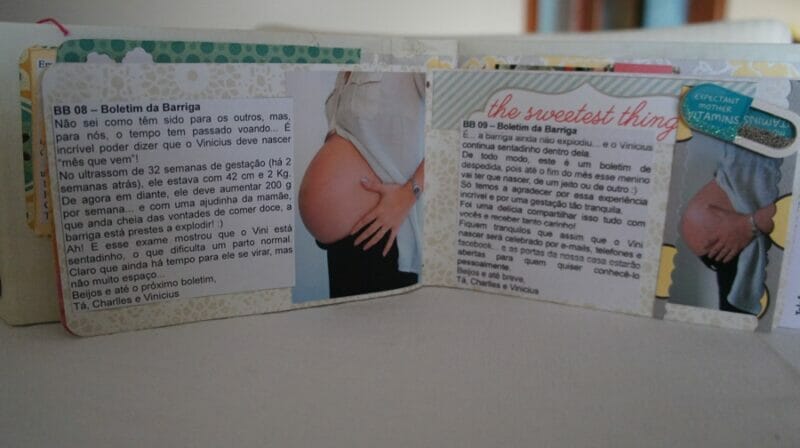 diário de gravidez com as fases da gravidez