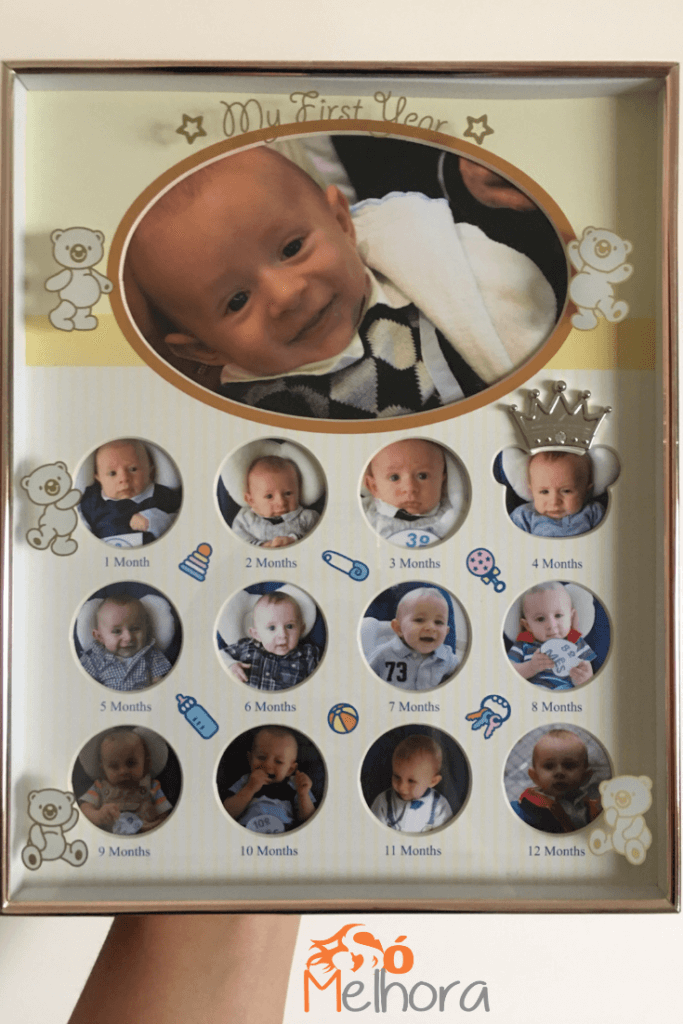 imagem com todos os 12 primeiros meses do bebê