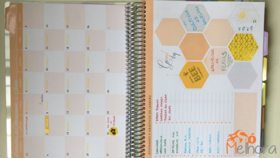 exemplo de calendário no daily planner 2019 Paperview
