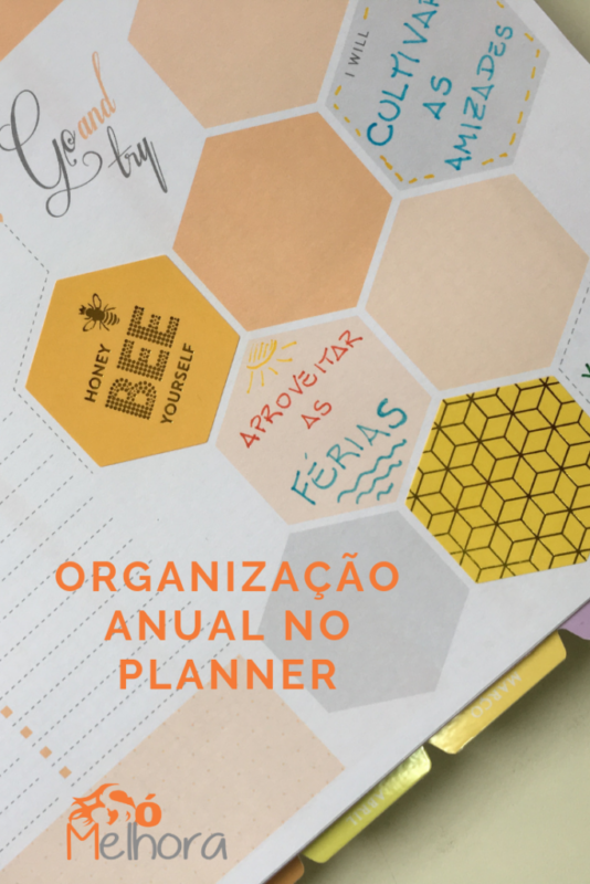 imagem ilustrativa com o título organização anual no planner
