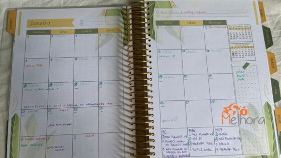 visão mensal do meu planner