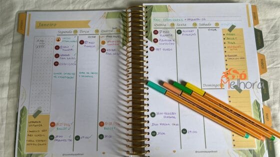Imagem mostrando a parte interna do meu planner para te ajudar a escolher o planner perfeito