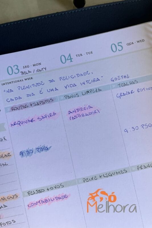 detalhes do meu planejamento semanal