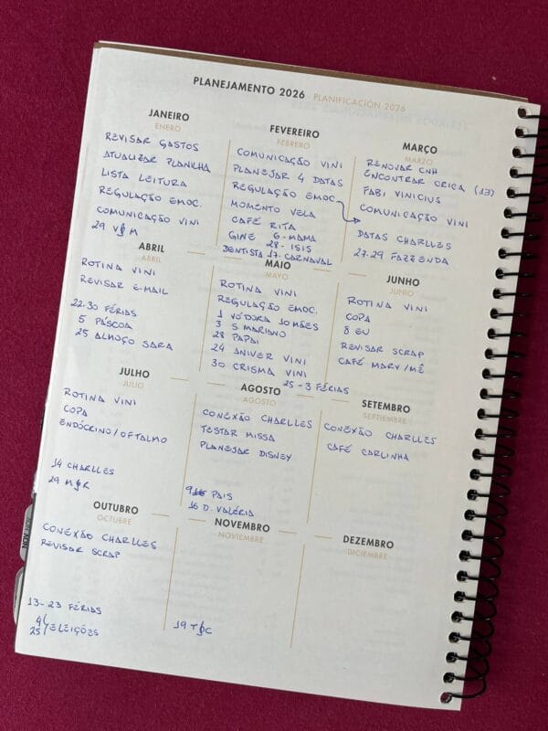 Distribuição dos projetos de 2026 ao longo dos meses no planner